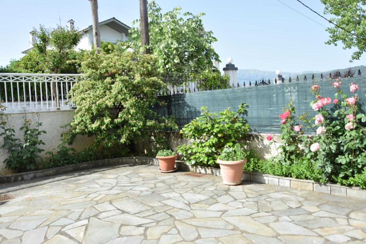Spacious Apartment At Ioannina, Anatoli Anatoli  Екстериор снимка